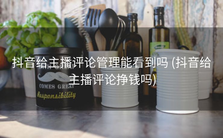 抖音给主播评论管理能看到吗 (抖音给主播评论挣钱吗)