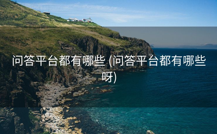 问答平台都有哪些 (问答平台都有哪些呀)
