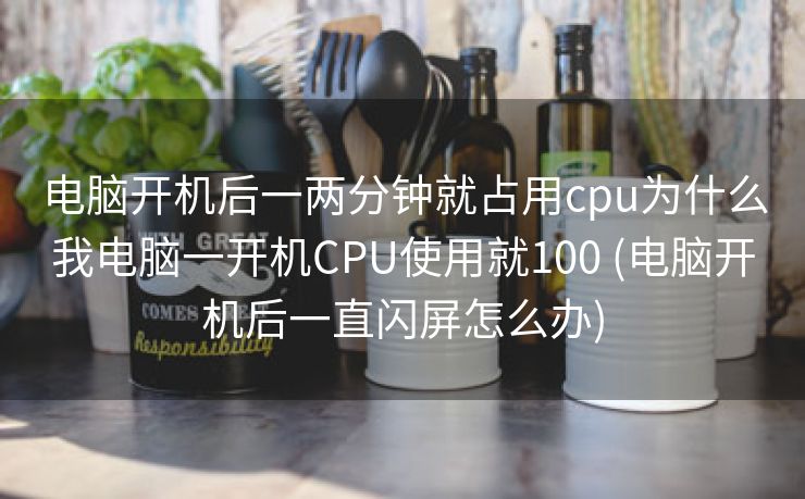 电脑开机后一两分钟就占用cpu为什么我电脑一开机CPU使用就100 (电脑开机后一直闪屏怎么办)