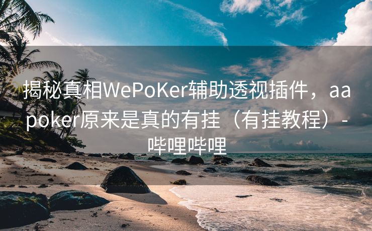 揭秘真相WePoKer辅助透视插件，aapoker原来是真的有挂（有挂教程）-哔哩哔哩