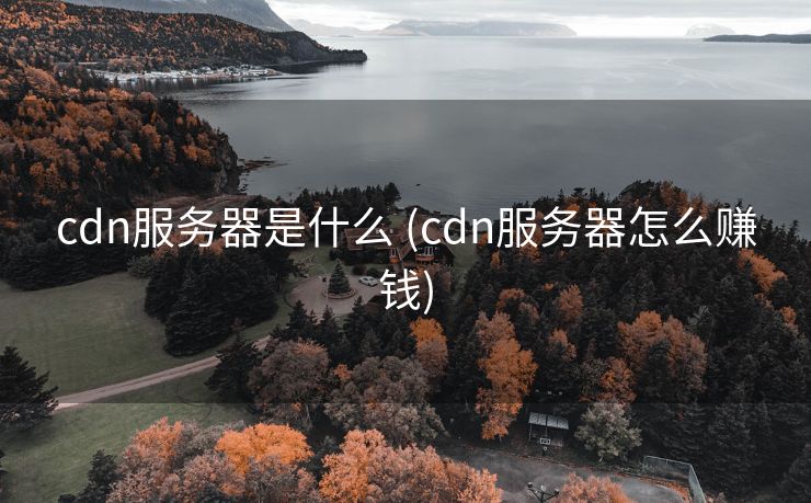cdn服务器是什么 (cdn服务器怎么赚钱)
