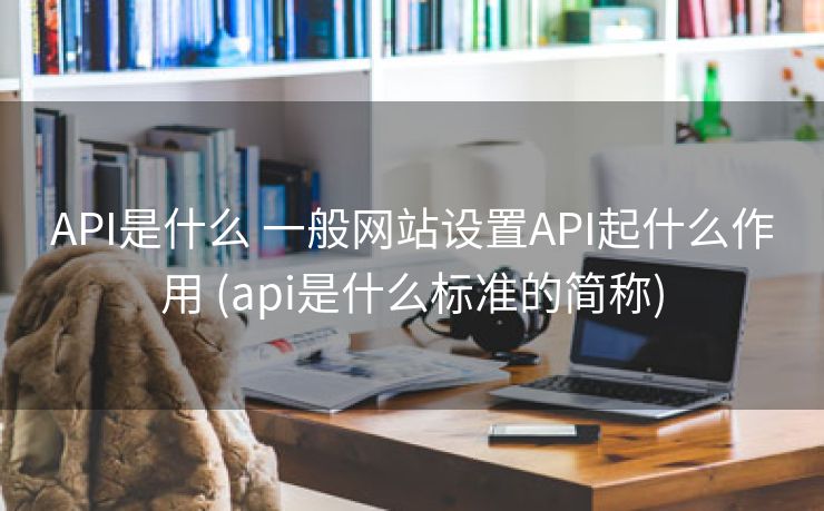 API是什么 一般网站设置API起什么作用 (api是什么标准的简称)