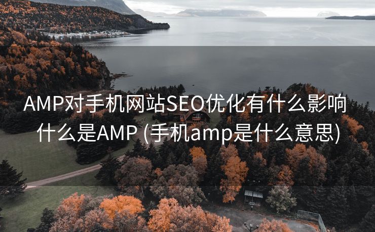 AMP对手机网站SEO优化有什么影响 什么是AMP (手机amp是什么意思)
