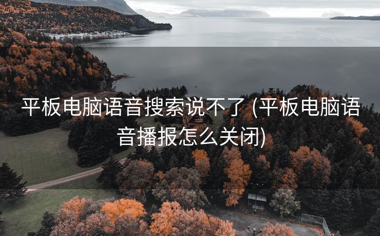 平板电脑语音搜索说不了 (平板电脑语音播报怎么关闭)