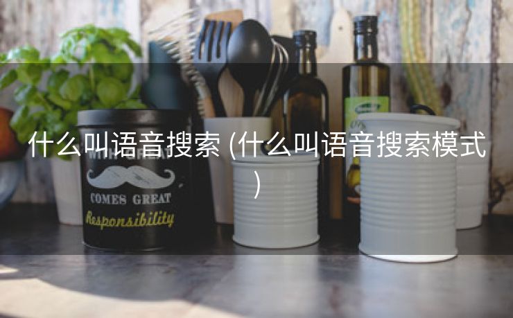 什么叫语音搜索 (什么叫语音搜索模式)