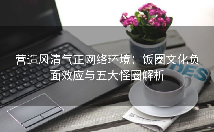 营造风清气正网络环境：饭圈文化负面效应与五大怪圈解析