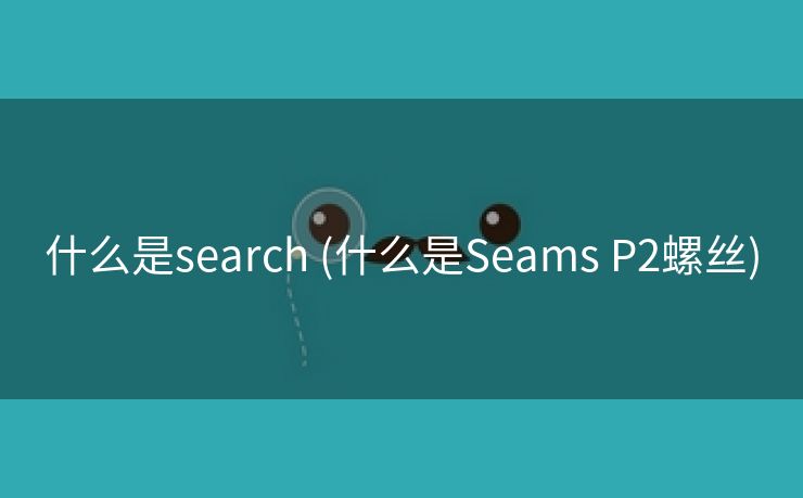 什么是search (什么是Seams P2螺丝)