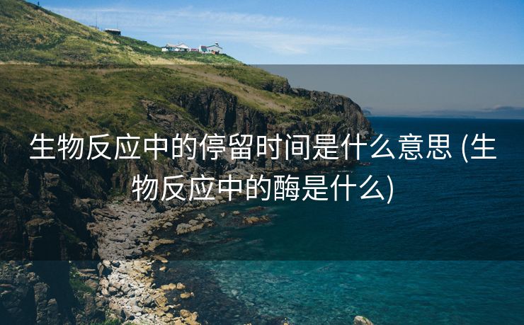 生物反应中的停留时间是什么意思 (生物反应中的酶是什么)