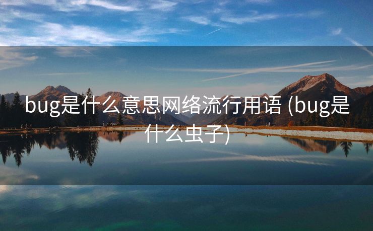 bug是什么意思网络流行用语 (bug是什么虫子)