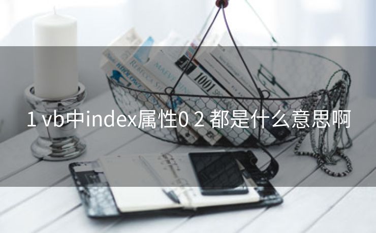 1 vb中index属性0 2 都是什么意思啊
