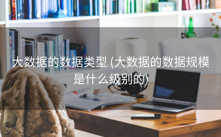 大数据的数据类型 (大数据的数据规模是什么级别的)
