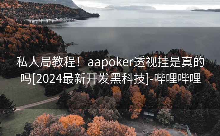 私人局教程！aapoker透视挂是真的吗[2024最新开发黑科技]-哔哩哔哩