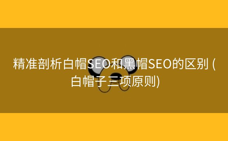 精准剖析白帽SEO和黑帽SEO的区别 (白帽子三项原则)