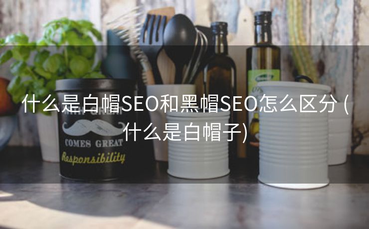 什么是白帽SEO和黑帽SEO怎么区分 (什么是白帽子)