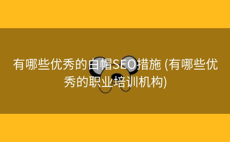 有哪些优秀的白帽SEO措施 (有哪些优秀的职业培训机构)