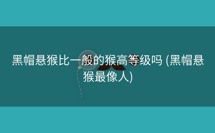 黑帽悬猴比一般的猴高等级吗 (黑帽悬猴最像人)