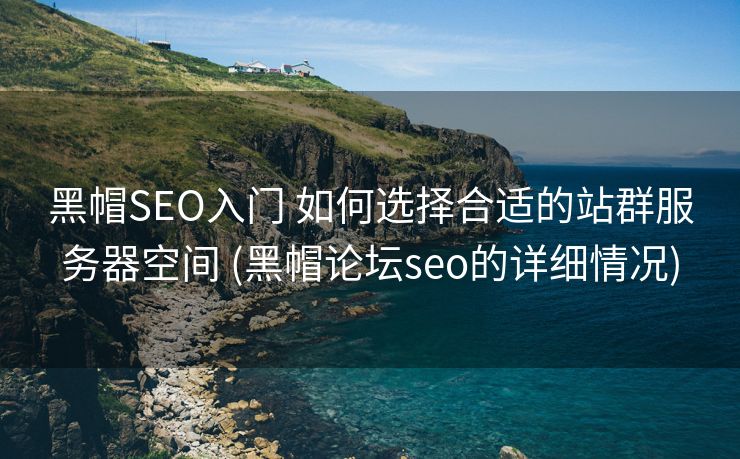 黑帽SEO入门 如何选择合适的站群服务器空间 (黑帽论坛seo的详细情况)