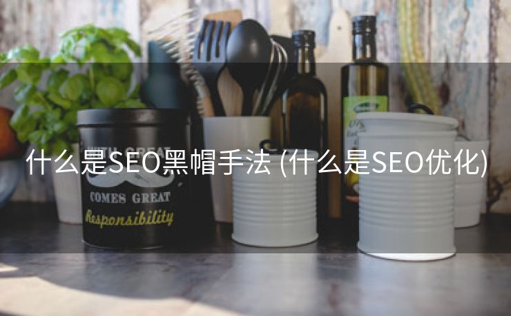 什么是SEO黑帽手法 (什么是SEO优化)