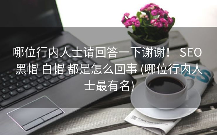哪位行内人士请回答一下谢谢！ SEO 黑帽 白帽 都是怎么回事 (哪位行内人士最有名)