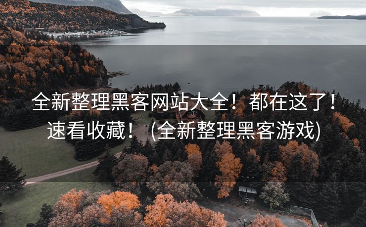 全新整理黑客网站大全！都在这了！速看收藏！ (全新整理黑客游戏)