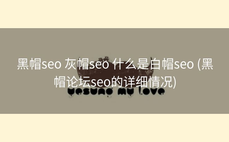 黑帽seo 灰帽seo 什么是白帽seo (黑帽论坛seo的详细情况)