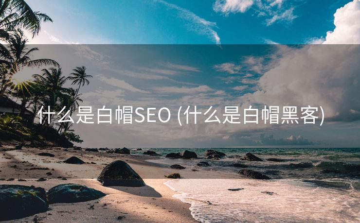 什么是白帽SEO (什么是白帽黑客)