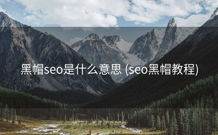 黑帽seo是什么意思 (seo黑帽教程)