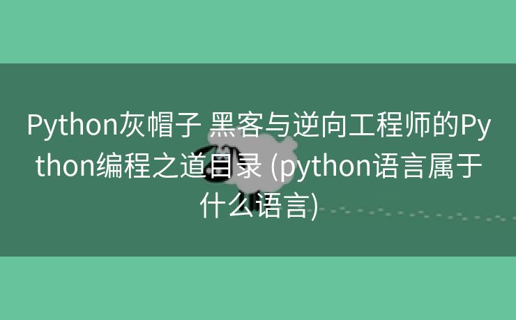 Python灰帽子 黑客与逆向工程师的Python编程之道目录 (python语言属于什么语言)