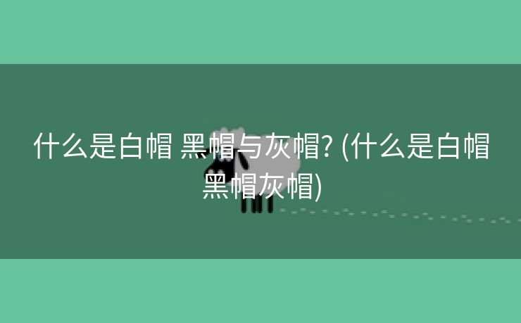 什么是白帽 黑帽与灰帽? (什么是白帽黑帽灰帽)