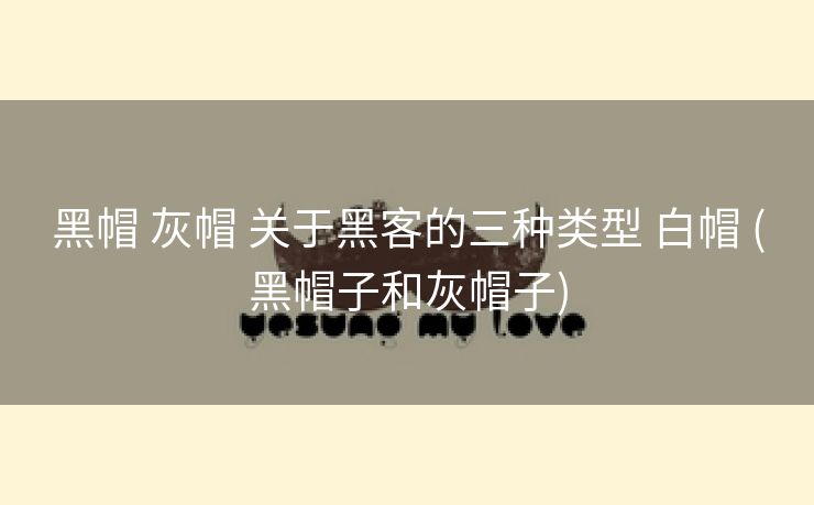 黑帽 灰帽 关于黑客的三种类型 白帽 (黑帽子和灰帽子)