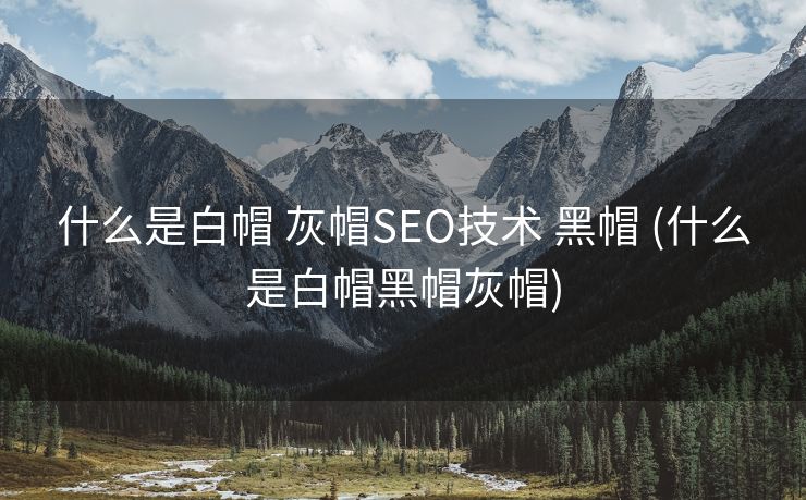 什么是白帽 灰帽SEO技术 黑帽 (什么是白帽黑帽灰帽)