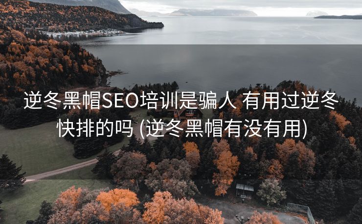 逆冬黑帽SEO培训是骗人 有用过逆冬快排的吗 (逆冬黑帽有没有用)