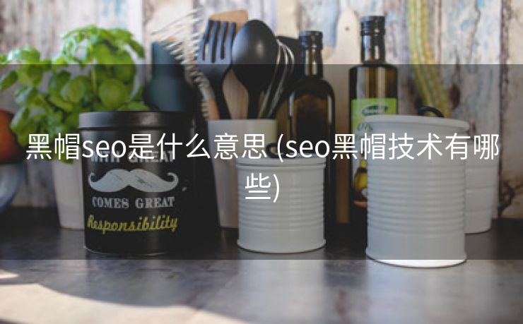 黑帽seo是什么意思 (seo黑帽技术有哪些)