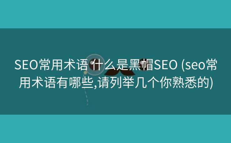 SEO常用术语 什么是黑帽SEO (seo常用术语有哪些,请列举几个你熟悉的)
