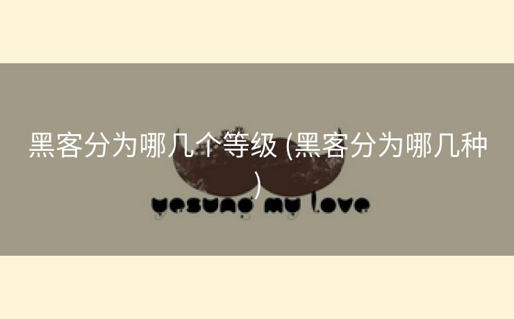 黑客分为哪几个等级 (黑客分为哪几种)