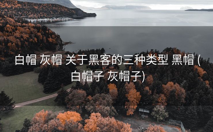 白帽 灰帽 关于黑客的三种类型 黑帽 (白帽子 灰帽子)