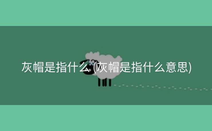 灰帽是指什么 (灰帽是指什么意思)