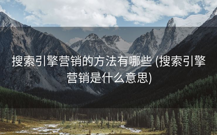 搜索引擎营销的方法有哪些 (搜索引擎营销是什么意思)