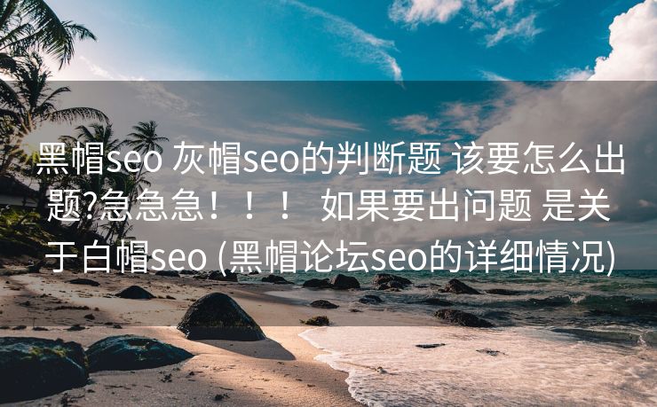 黑帽seo 灰帽seo的判断题 该要怎么出题?急急急！！！ 如果要出问题 是关于白帽seo (黑帽论坛seo的详细情况)