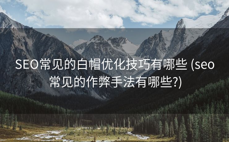 SEO常见的白帽优化技巧有哪些 (seo常见的作弊手法有哪些?)
