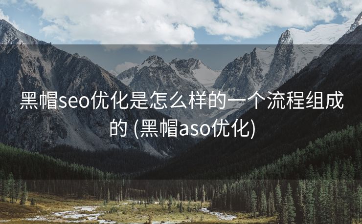 黑帽seo优化是怎么样的一个流程组成的 (黑帽aso优化)