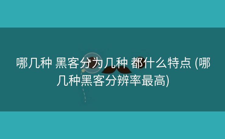 哪几种 黑客分为几种 都什么特点 (哪几种黑客分辨率最高)