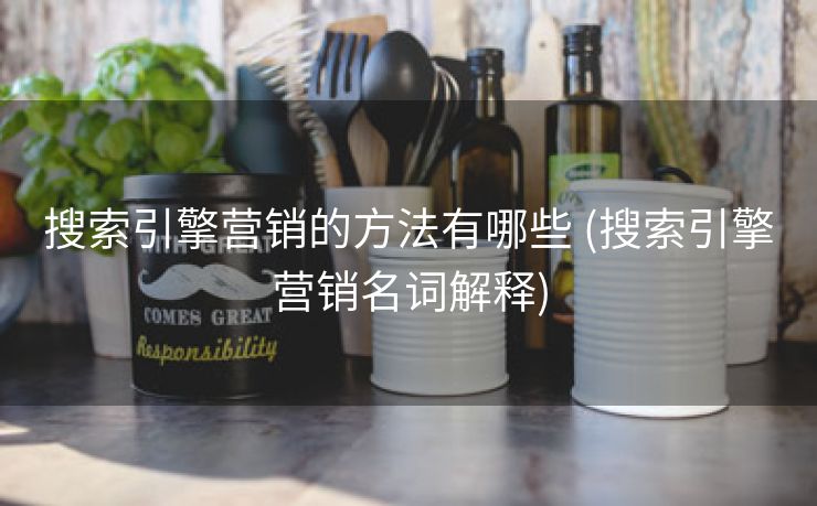 搜索引擎营销的方法有哪些 (搜索引擎营销名词解释)