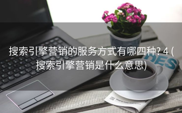 搜索引擎营销的服务方式有哪四种? 4 (搜索引擎营销是什么意思)