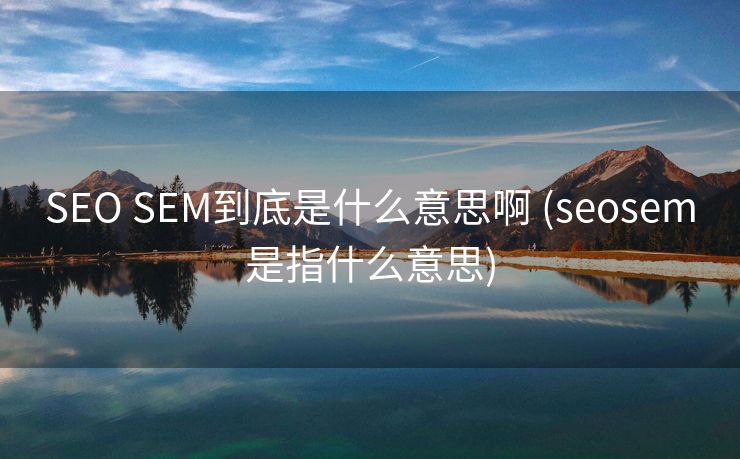 SEO SEM到底是什么意思啊 (seosem是指什么意思)
