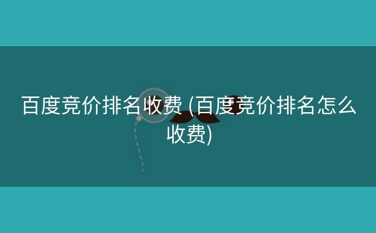 百度竞价排名收费 (百度竞价排名怎么收费)