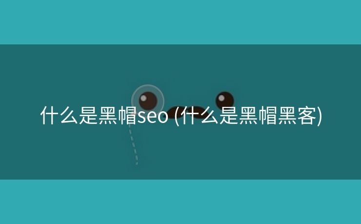 什么是黑帽seo (什么是黑帽黑客)