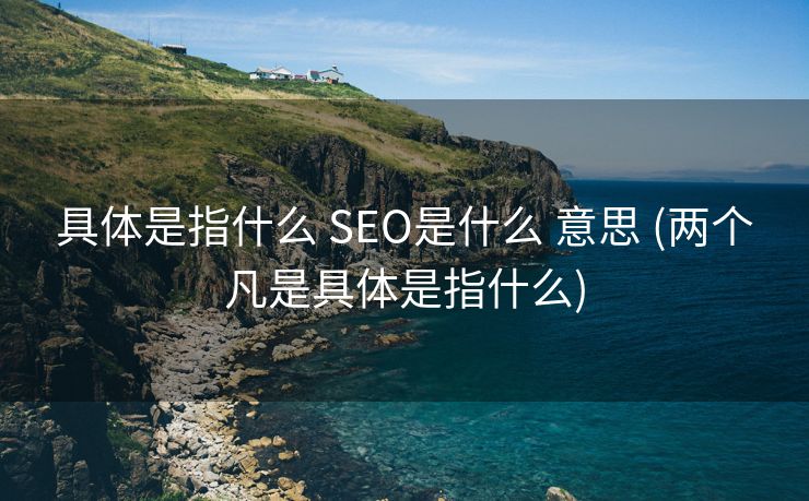 具体是指什么 SEO是什么 意思 (两个凡是具体是指什么)