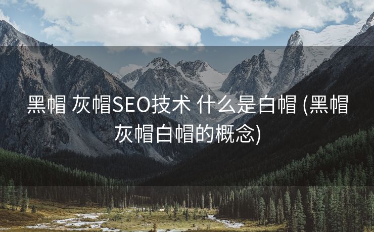 黑帽 灰帽SEO技术 什么是白帽 (黑帽灰帽白帽的概念)