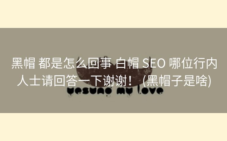 黑帽 都是怎么回事 白帽 SEO 哪位行内人士请回答一下谢谢！ (黑帽子是啥)